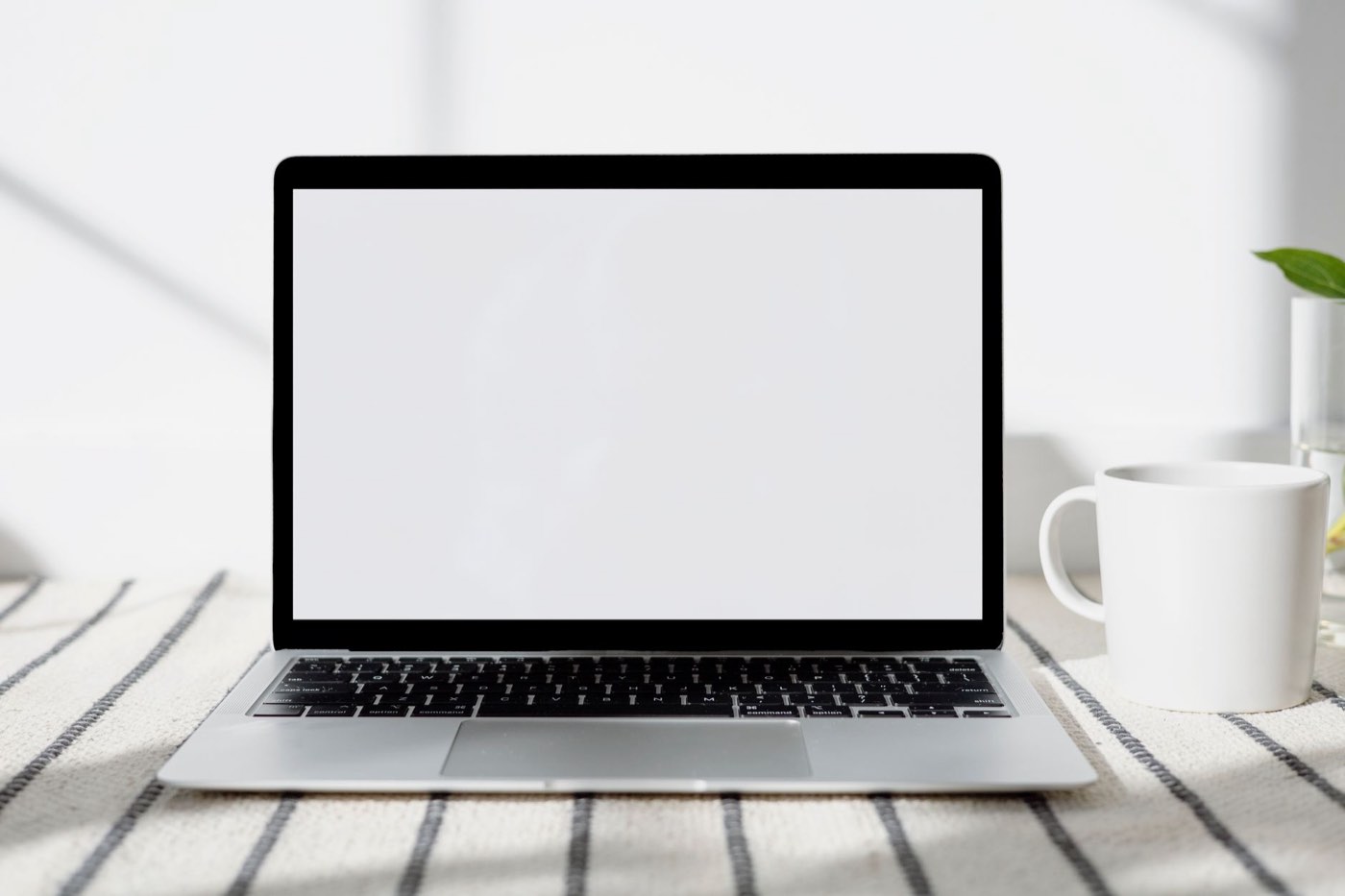 best wordpress themes for small business