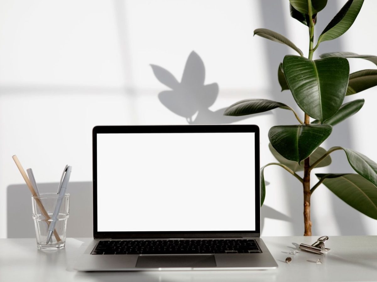Webflow vs Framer vs WordPress: hosting, export, CMS