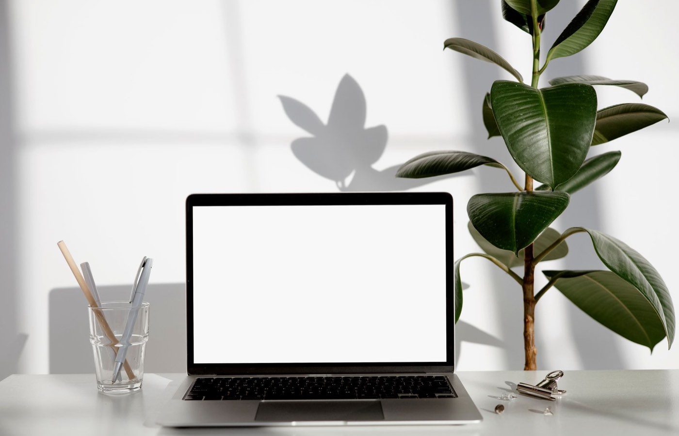 Webflow vs Framer vs WordPress: hosting, export, CMS